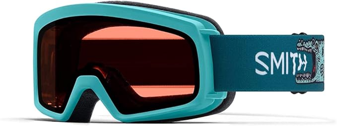 SMITH Optics 4D MAG Unisex Snow Winter Goggle