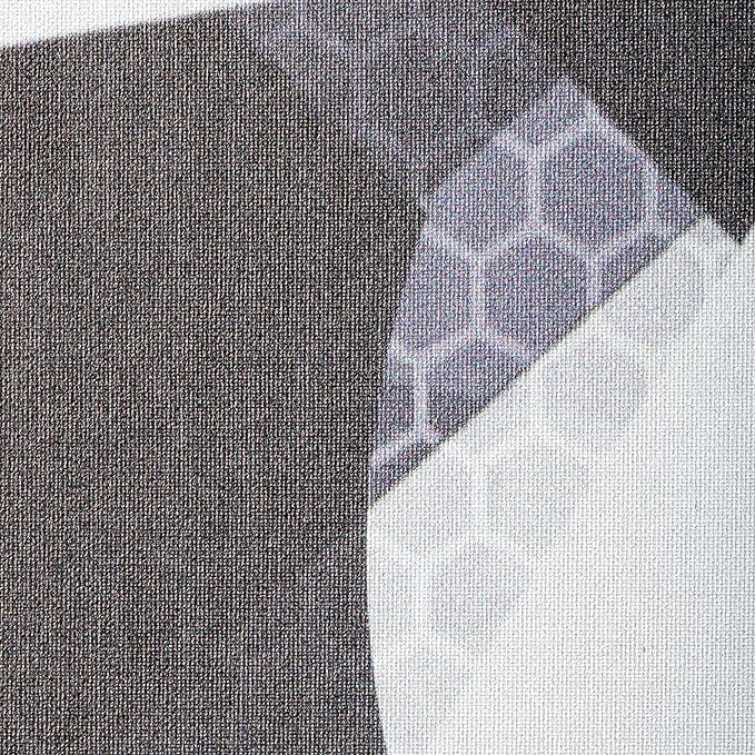 ONIX Graphite Z5 Graphite Carbon Fiber Pickleball Paddles with Cushion Comfort Pickleball Paddle Grip