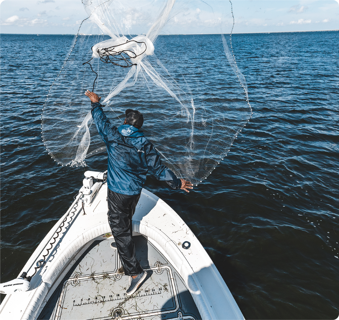 The StreetLite Company