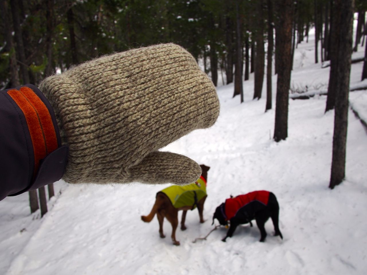 Fox River Extra Heavy Double Ragg Mitten